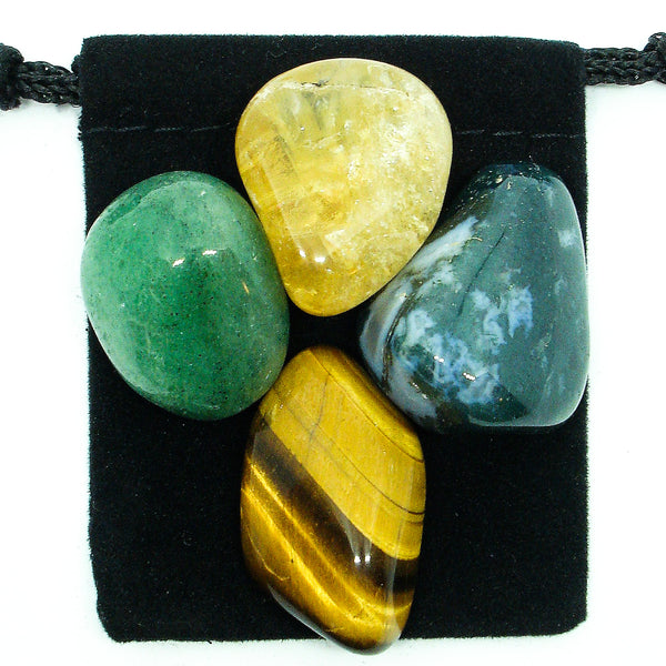 Abundance & Prosperity Tumbled Crystal Healing Set