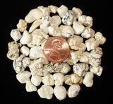 Magnesite Tumbled Crystal Sharing Stones