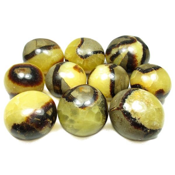 Septarian Tumbled Crystal Specimen