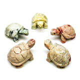 Dolomite Turtle Spirit Animal