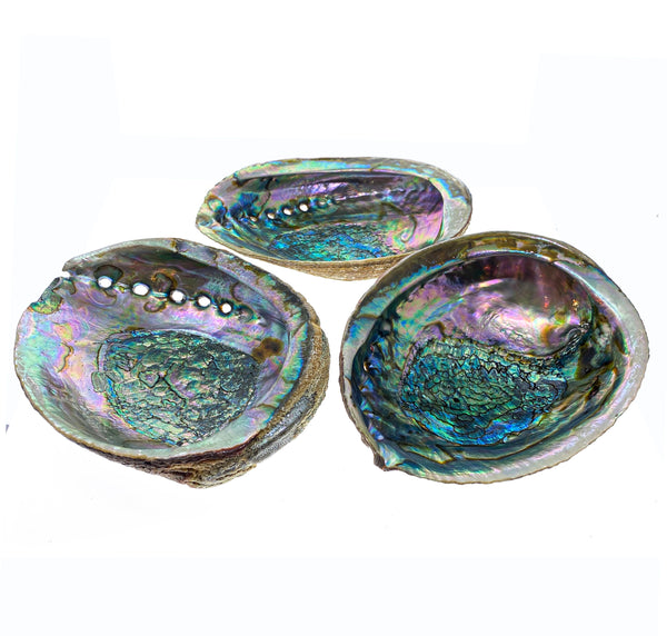 Smudge Bowl - Abalone Shell