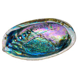Smudge Bowl - Abalone Shell