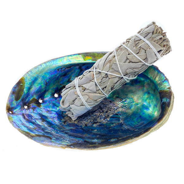 Smudge Set - Abalone Shell, Stand, Feather, & White Sage Bundle
