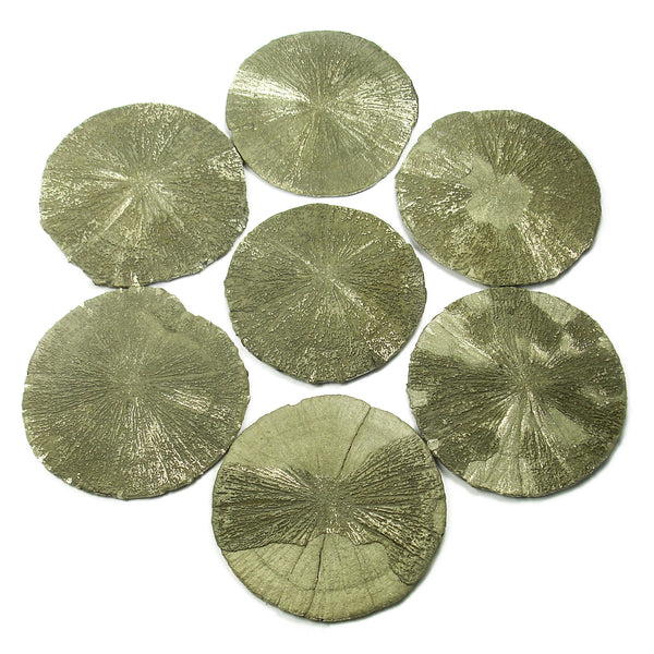 Iron Pyrite Sun Dollar Natural Specimen