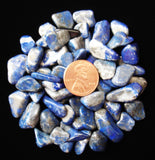 Lapis Lazuli Tumbled Crystal Sharing Stones