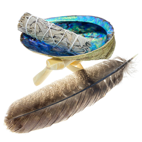 Smudge Set - Abalone Shell, Stand, Feather, & White Sage Bundle