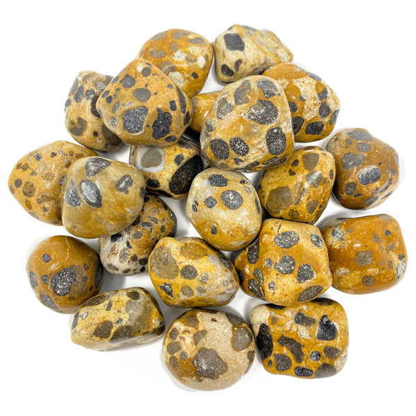 Jasper (Leopard Skin) Tumbled Crystal Specimen