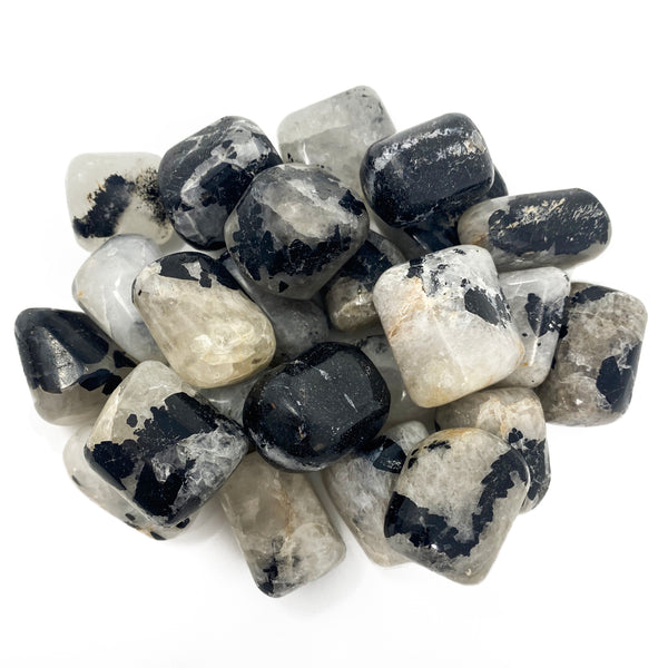 Tourmalinated Quartz Tumbled Crystal Specimen